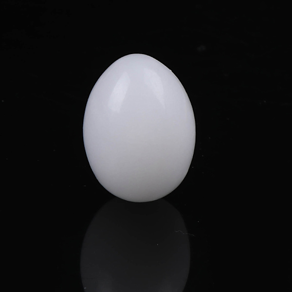 10 st Vit massiv plast solid duvaägg Dummyägg Hatchin