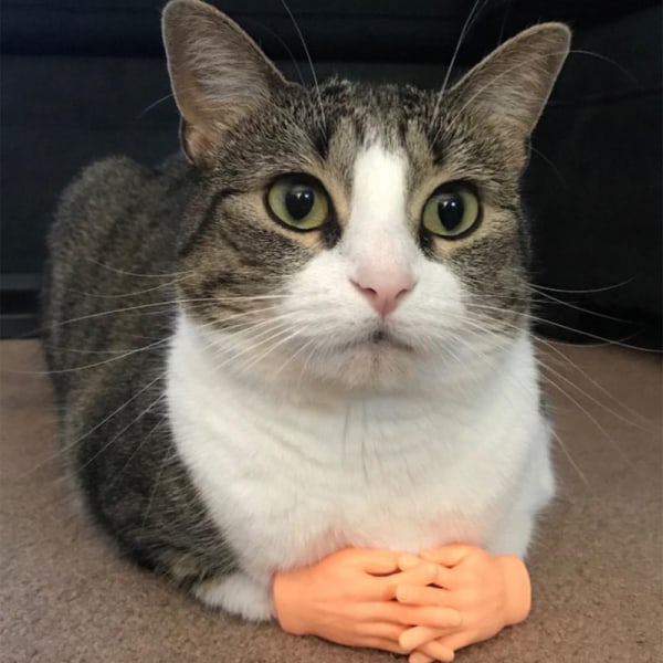 1 par Cat Funny Massage Little Finger Handskar Mänsklig Hand För ca L