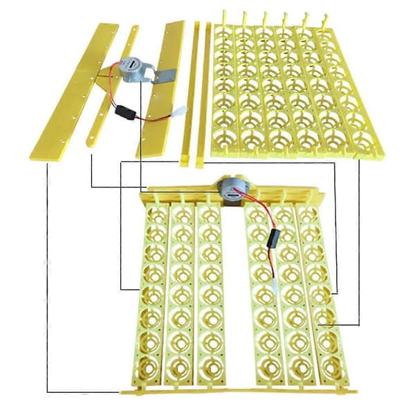 220V Digital 48 Egg Inkubator Klekker Automatisk Egg Snu Panel - Plast Egg