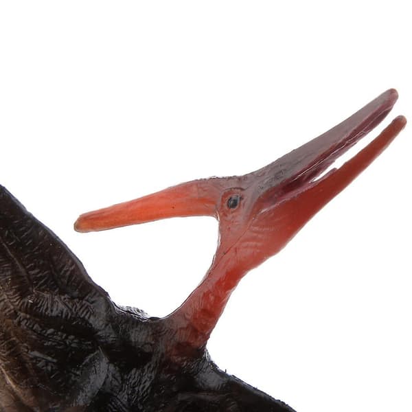 Realistisk Kridt Pteranodon Model Legetøj Action Figur Børn Zoo Samlinger