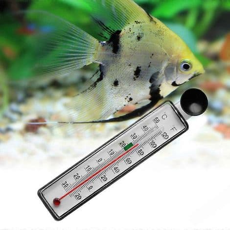 Digitalt Termometer