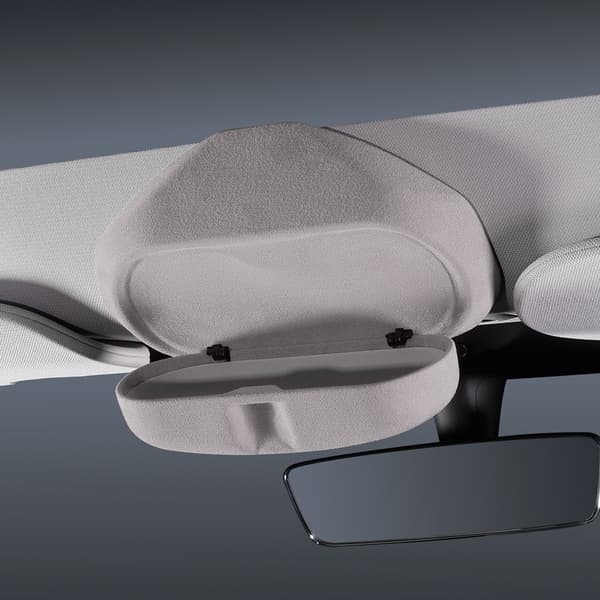 Tesla Sunglasses Case - Perfect Fit Beige Model Y