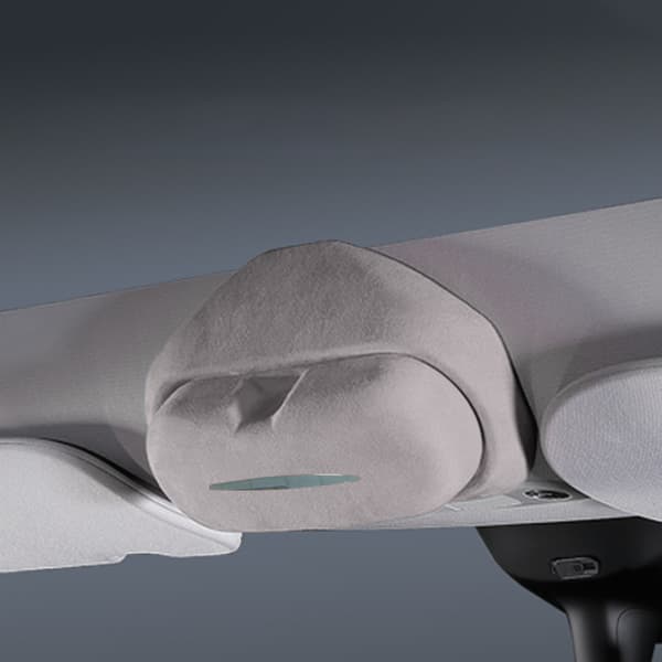 Tesla Sunglasses Case - Perfect Fit Beige Model Y