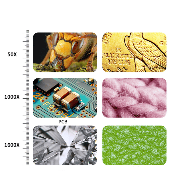 Bärbart 1000X elektroniskt mikroskop med ljusreglering svart
