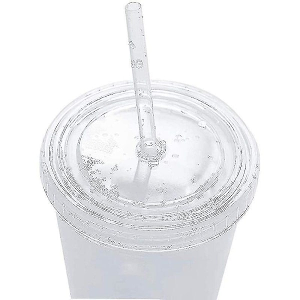 Återanvändbara Dubbla Lager Mugglock Med Återanvändbara Sugrör Smoothie Juice