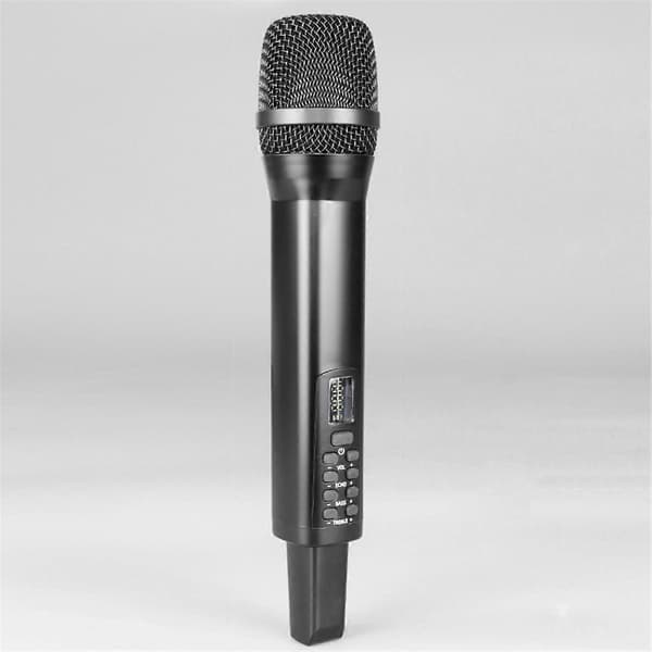 Karaoke Trådløs Mikrofon Receiver Audio Sang Performance Ekko Diskant Bas 2.4G Trådløs Håndholdt