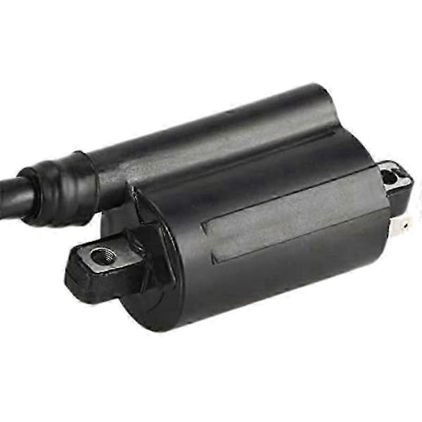 Korkealaatuiset 2X moottoripyörän sytytyspuolat sopivat Yamaha GS125 GN125 VX250 Virago 1100 XV1100 XV-1100 1995-2007 -malleihin