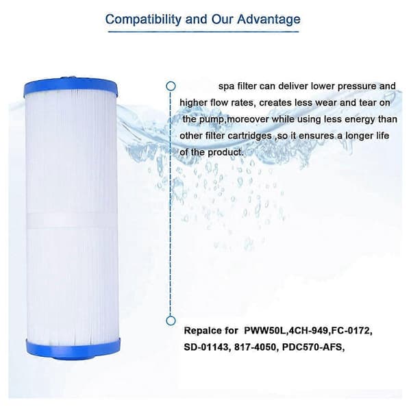 Spa Filter 2 tommer hun SAE gevind til PWW50L 4CH-949