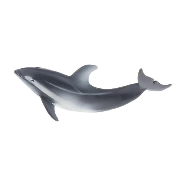 Simuleringsmodell av havdyr - Læringsleker - Delfin