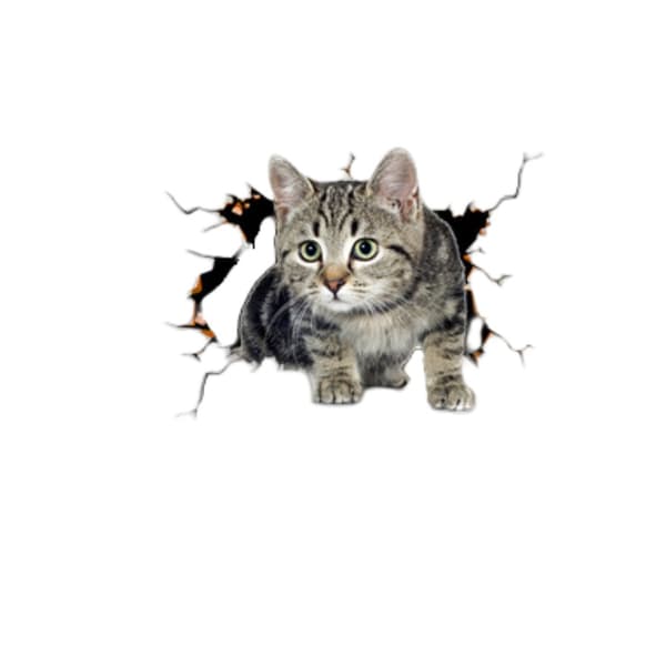 Creative Car 3D Stereo Kitten Stickers - Cute Decals for Car Body, 2-pack