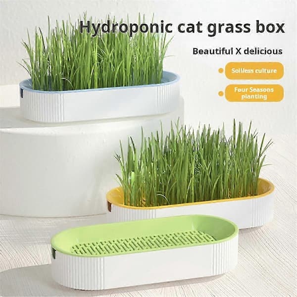 Hydroponisk Kattegræsboks Kattesnack Hydroponisk Mindre P Kattegræspotte B-Yogu