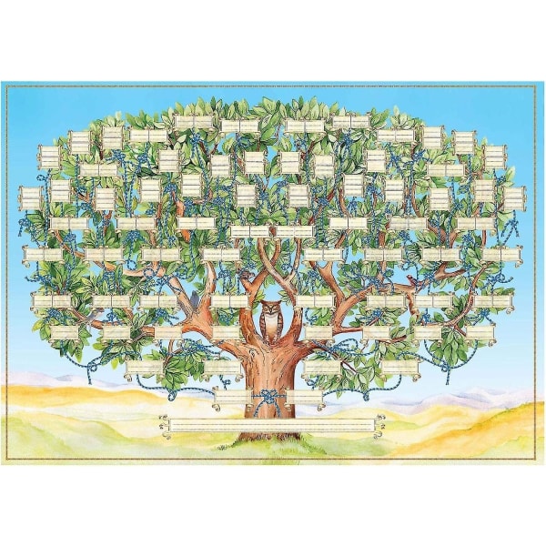Slægtsdiagram, der skal udfyldes, 6-generations slægtsskemaplakat Blankt udfyldeligt anetavle Slægtstræ, 15,75x23,62 tommer Slægtsdiagram Slægtsoversigt Wal