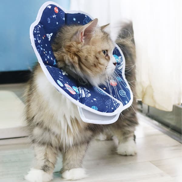 Waterproof Planet Pattern Cat Protective Collar - Anti-lick & Foldable Pet Neck Collar M