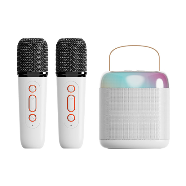 Bärbar Bluetooth högtalare, trådlöst karaokeljud med mikrofon