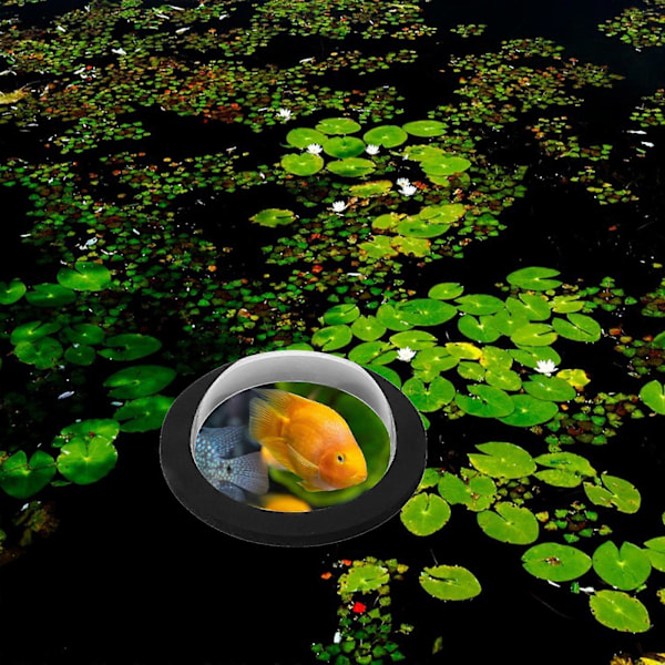 Flydende Damfiskedom Display Transparent Dæk Flydende Fiskedom Akryl Fiskedom Flydende Dæk