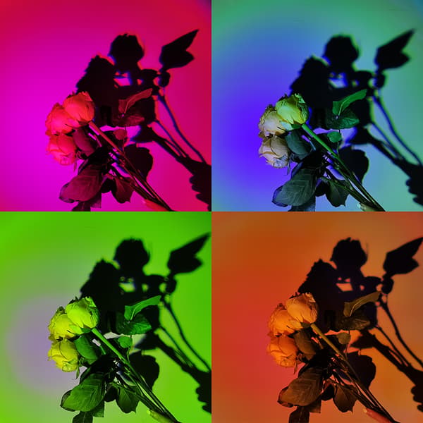 Table Lamp \"Sunset\" - Projects Sunset, 16 Colors, Remote Control Black