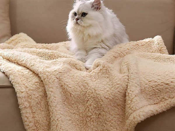 100x80cm Vaskbart Kæledyrs Vinter Varmt Tæppe Kat Hund Fluffy Kastetæppe Beige