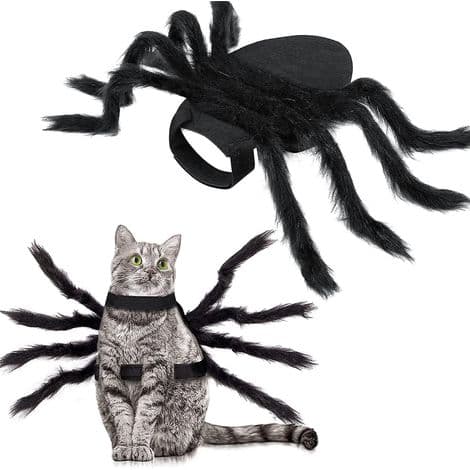 Justerbart edderkoppekostume til små og mellemstore hunde og katte, edderkoppekostume til Halloween.