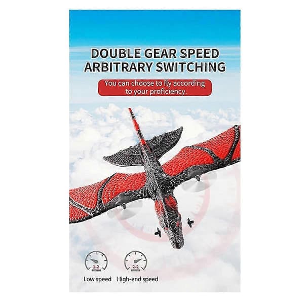 RC Fly 2.4G Simulert Flygende Drage Fly Fjernkontroll Flygende Modell Seilfly EPP Skum