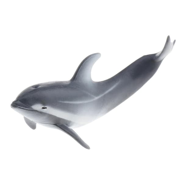 Simuleringsmodell av havdyr - Læringsleker - Delfin