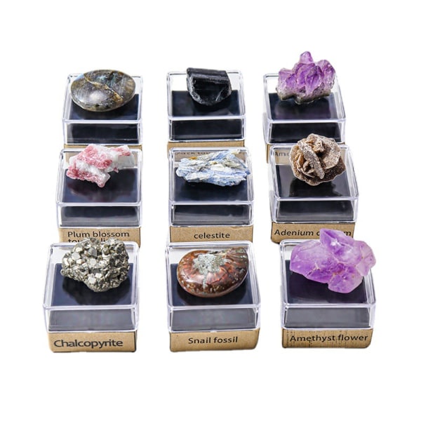 9 stykker naturlig krystal rå stenmalm prøvesæt populærvidenskabelig gavepynt til børn