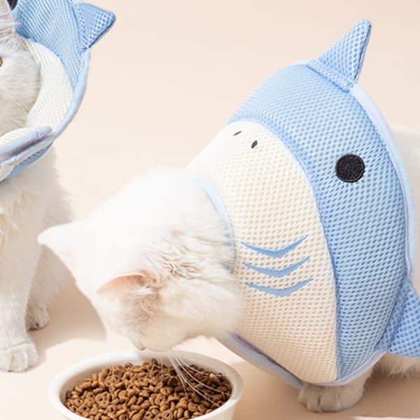 Blue Shark Pet Cone -kauluri kissoille ja koirille S