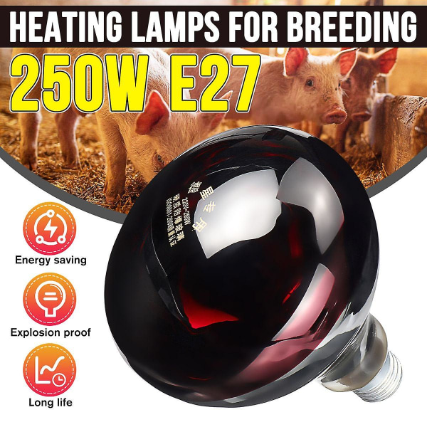 250w 240v lämmityslamppu lämmin kevyt koiran lemmikkilämmitin inkubaattoriin-jbk