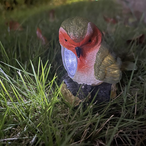 Utomhusbelysningsarmaturer solharts fågel atmosfär ljus trädgård landskap ljus