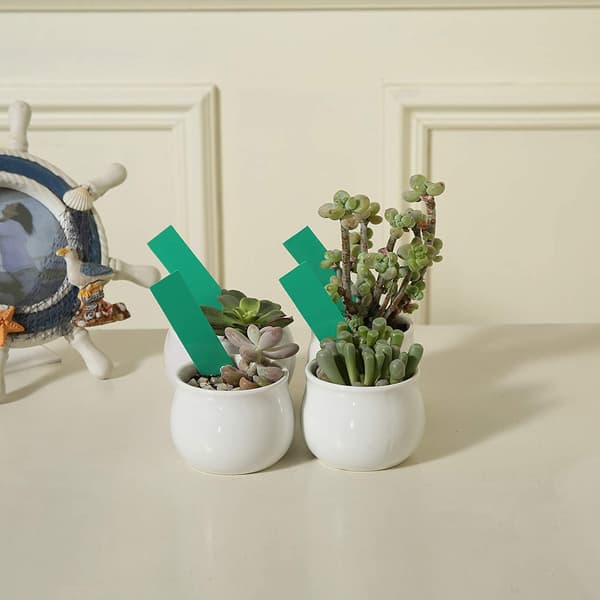 Vattentäta växtetiketter / växtskyltar med hål PVC 100-pack Grön