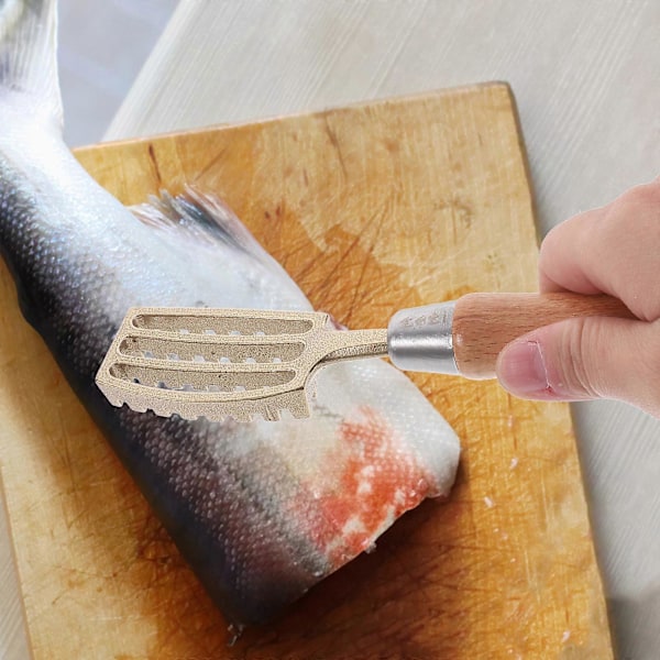 Fiskskalare i japansk stil av mässing för snabb rengöring