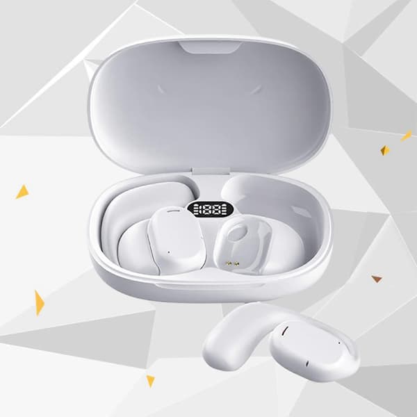 144 Sprog Oversætter Ørepropper Bluetooth 5.1 Online Offline Oversætter Enhed