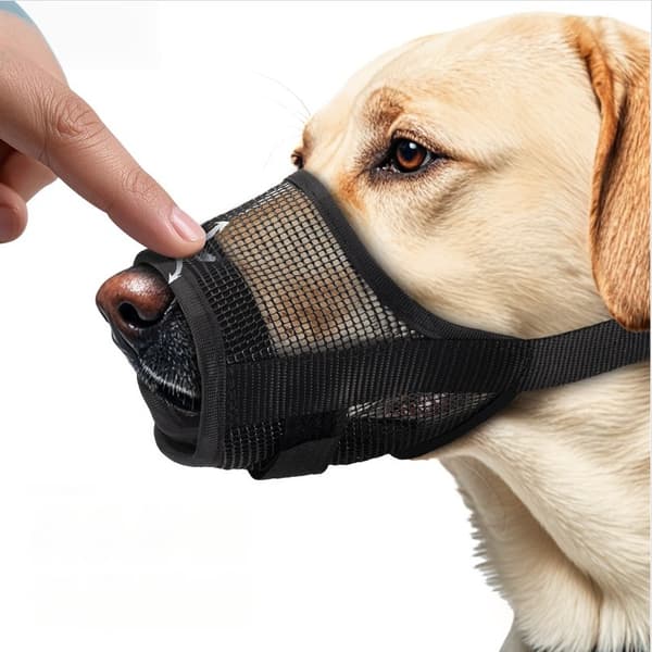 Small Size Plastic Mesh Dog Muzzle - Anti-Bite & Chew, Breathable Pet Mask, Compatible with All Dog Breeds