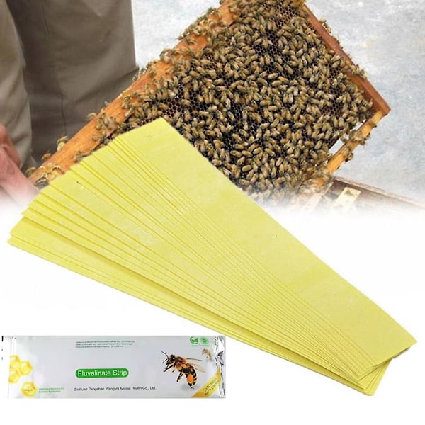 80x Varroa-strimler Fluvalinat Bier Mider Drepere Behandlinger Verktøy Birøkt
