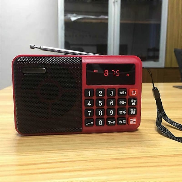 Mini Bärbar Digitalradio Laddningsbar TF-Kort Högtalare med LED-Skärm