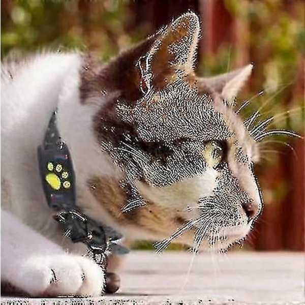Smart GPS Katte- og Hundehalsbånds Tracker