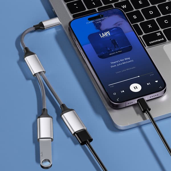 Typ-C till dubbel USB 2.0-adapter Grå