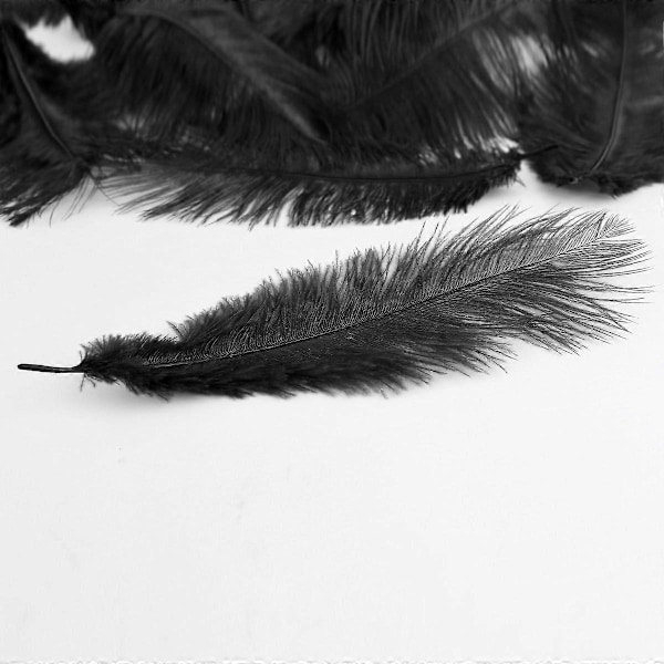 20 stk. naturlige strudsefjer 25-30 cm sorte dekoration
