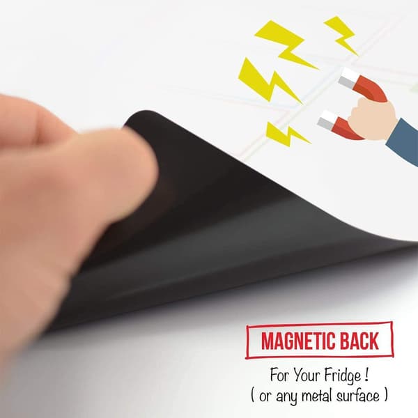 Magnetisk whiteboard med penne og viskelæder, multicolor
