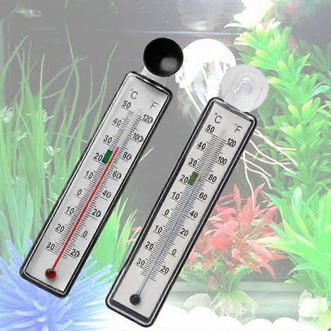 Digitalt Termometer