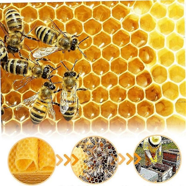Vaxkakor 30 st Vaxbasplattor Vaxbas för bikupor Naturliga honungskakeplattor Vaxkakor