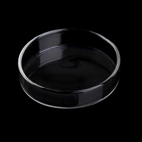 Rund klar akrylplatta för utfodring av räkor, matskål för bottenlevande djur.