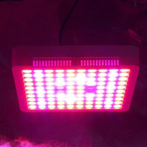 300W LED Fullspektret Plantelys, 100SMD Gartneribelysning