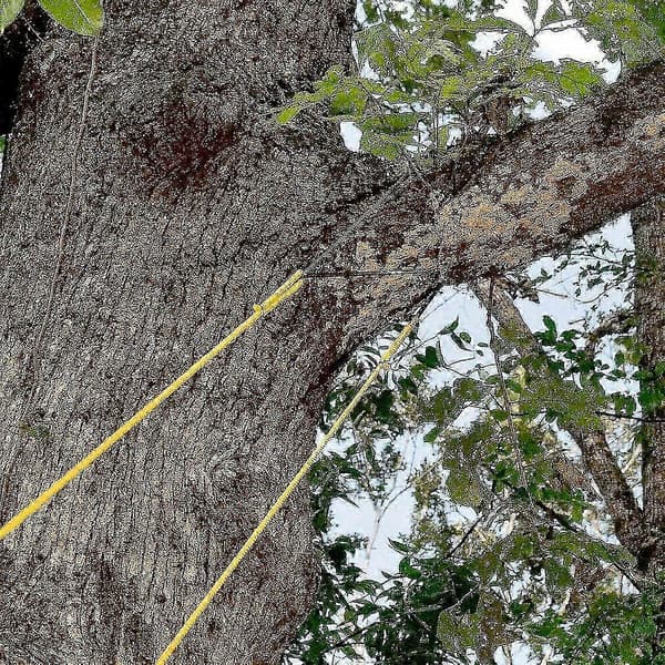 48'' Bärbar Hög Räckvidd Träd Hand Rep Kedjesåg Blad På Båda Sidor