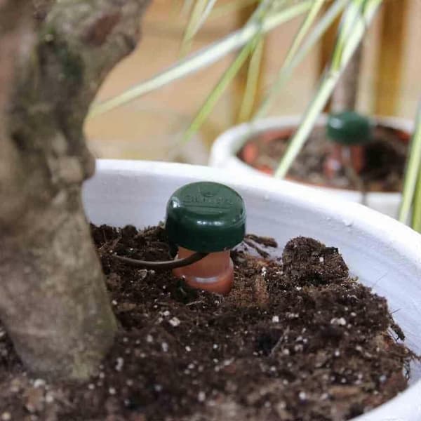 Indendørs plantevandingsdispenser, 6 stk. i en pose