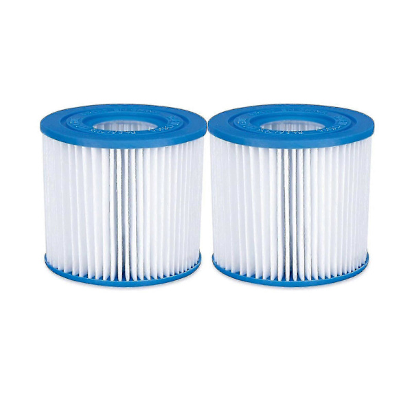 Summer Waves Typ D Pool Filterpatron Kraftigt Papper 2-Pack Ersättning