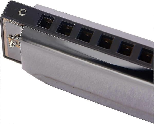 10 Huller 20 Harmonica Blues Deluxe Harmonica Begynder C Harmonica - Sort f26