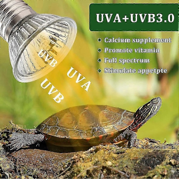 6 Pak Varmepærer 50W UVA UVB Lamper til Reptiler, Skildpadder, Slanger