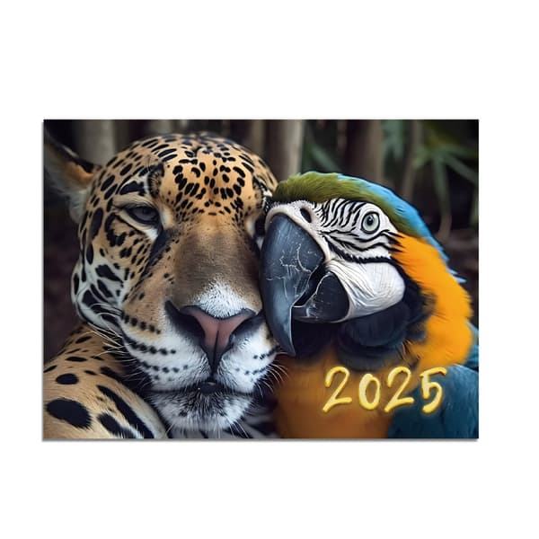 Kalender 2025 Nytårs kalender farve: stil6