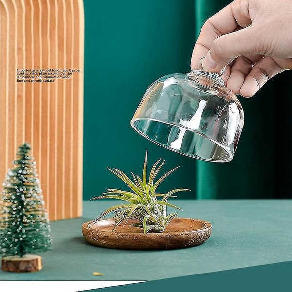 Multifunktionell Mini Dessert Serveringsställ Kakfat med Kupol Lock Platta Kakplatta Hotell (4-pack)