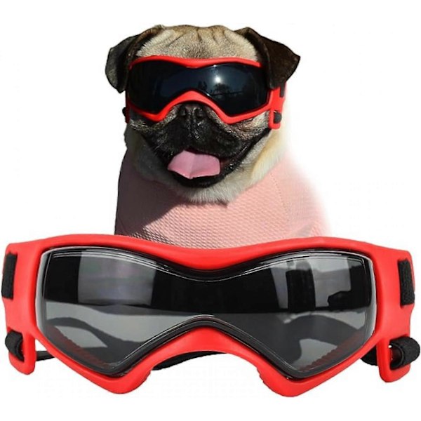 Hundebriller til små racer - Solbriller til hunde - UV-solbriller - Vindtætte bløde stel - Justerbare stropper til små/mellemstore hvalpe (Sort) - FARVE: rød